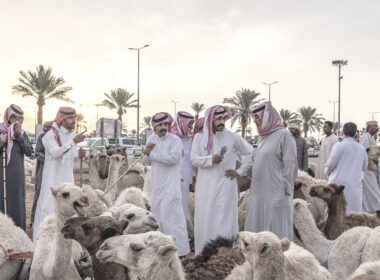 Kamelmarkt in Saudi-Arabien