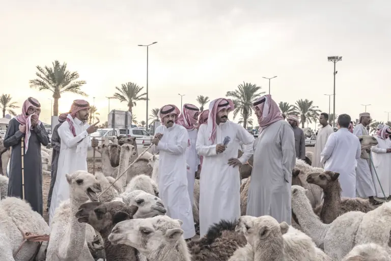Kamelmarkt in Saudi-Arabien