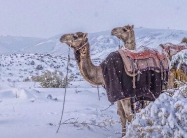Schnee in saudi arabien